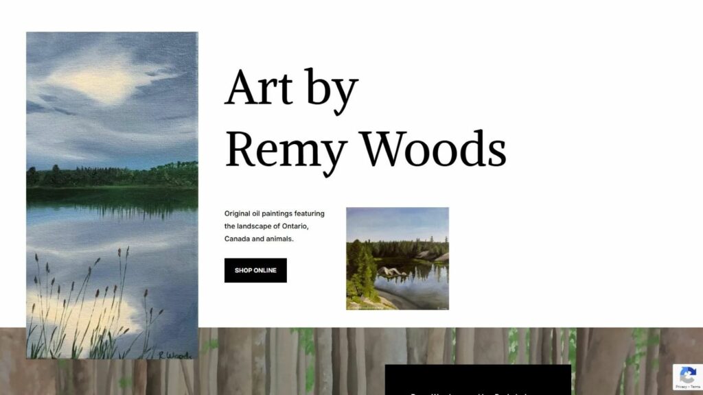 RemyWoodsArtist